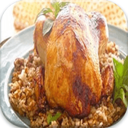 وصفات بالدجاج icon