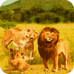 Talking Lion icon