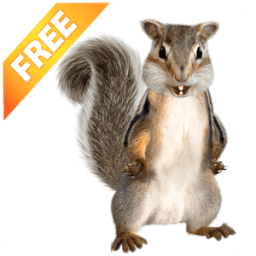 ikon Berbicara bayi laki-laki