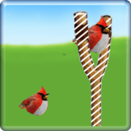 screen lock birds code иконка