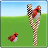 screen lock birds code on 9Apps