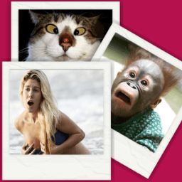 Funny Pics иконка