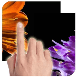 Change Background Photo icon