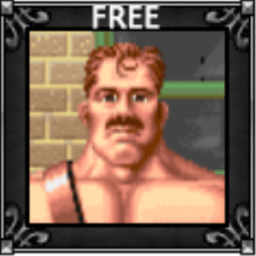 Final fight icon