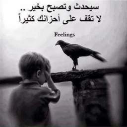 عبارات واتس معبرة 2015 1.6