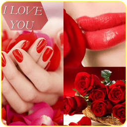 Red Rose Flowers Screen Lock आइकन