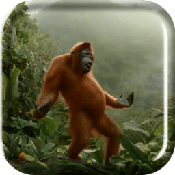 ikon Orang Utan Gokil