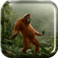 Orang Utan Gokil on 9Apps