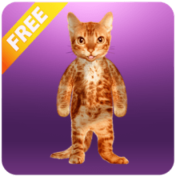 Bất mèo nói icon