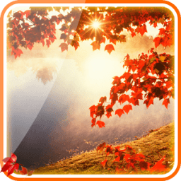 Falling Leaves Live Wallpaper أيقونة