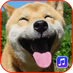 Animal Sounds Ringtones иконка