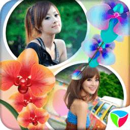 Flower Frames Collage 1.0