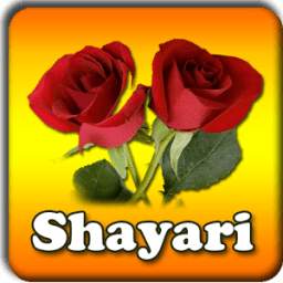 Hindi Shero Shayari ♥ Love,Sad