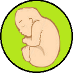 Fetal Biometry and Size أيقونة