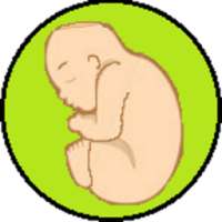 Fetal Biometry and Size