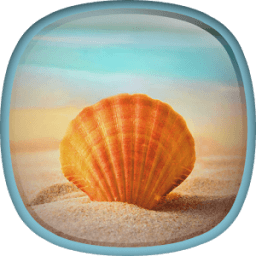 Sea Shell Live Wallpaper HD icon
