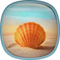 Sea Shell Live Wallpaper HD on 9Apps