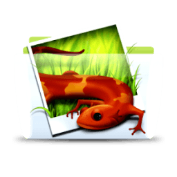 Download Images icon