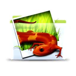 Download Images 1.1.2