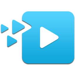 VideoDet 1.0