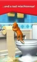 The home has Super miaomiao screenshot 1