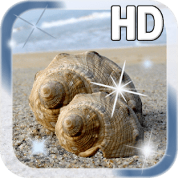 Sea shell Live Wallpaper icon