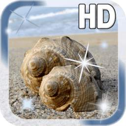 Seashell LWP 1.0