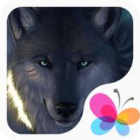 Cool Wolf Wallpapers on 9Apps