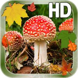 Leaves Mushroom HD LWP