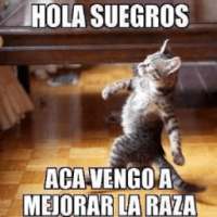 Imagenes graciosas Whatsapp on 9Apps