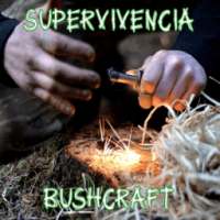 Survival - Bushcraft on 9Apps