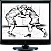 Wrestling Tv Live Free App on 9Apps
