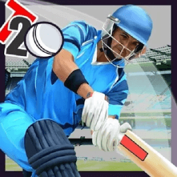 Cricket Top Games 2015 icon