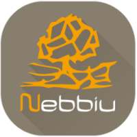 Nebbiu on 9Apps