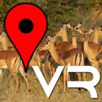 Kruger Park VR Sightings on 9Apps