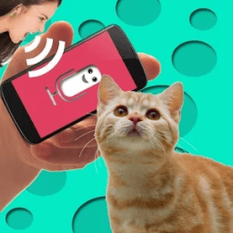 Cat Translator иконка