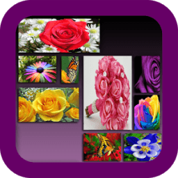 Photo Collage أيقونة