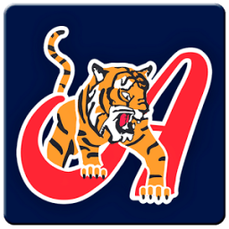 Es Beisbol - Tigres de Aragua icon