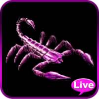 Scorpion Animated Wallpaper