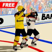 Hockey Players Fight 2016