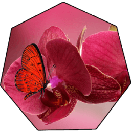 Red Flowers Wallpaper Live icon