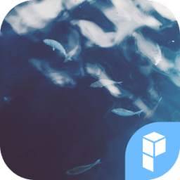 A river runs through it theme आइकन