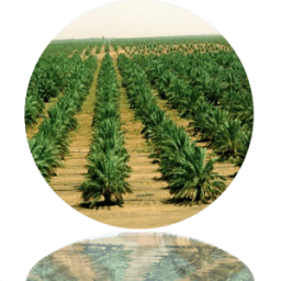 basaten أيقونة