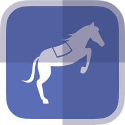 Horse Racing News - SF