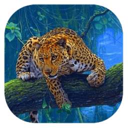 Leopard 1.0