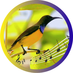 Sogok Ontong / Madu Sriganti icon