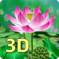 Hoa sen Hình nền động 3D