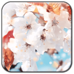 ikon Snow Flower Live Wallpaper