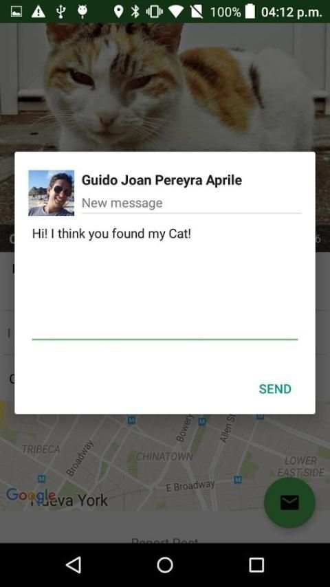 I lost my Pet screenshot 2