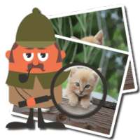 Find difference: Animals